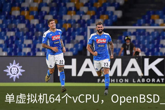 单虚拟机64个vCPU，OpenBSD 8.0把虚拟化拉满了