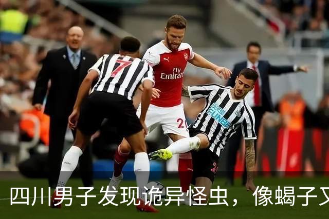 四川男子发现诡异怪虫，像蝎子又像蜘蛛！网友：20年没见过了！