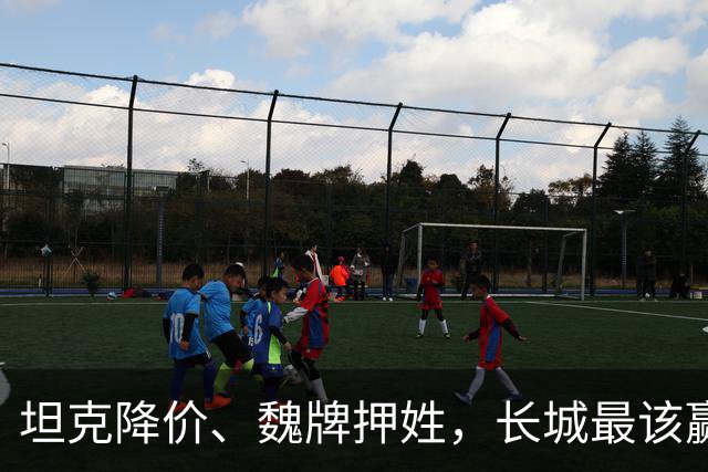 坦克降价、魏牌押姓，长城最该赢的两仗，都打成了消耗战