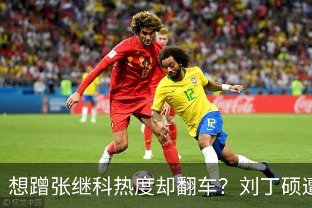 想蹭张继科热度却翻车？刘丁硕遭邓亚萍灵魂拷问，这波反杀太致命了！