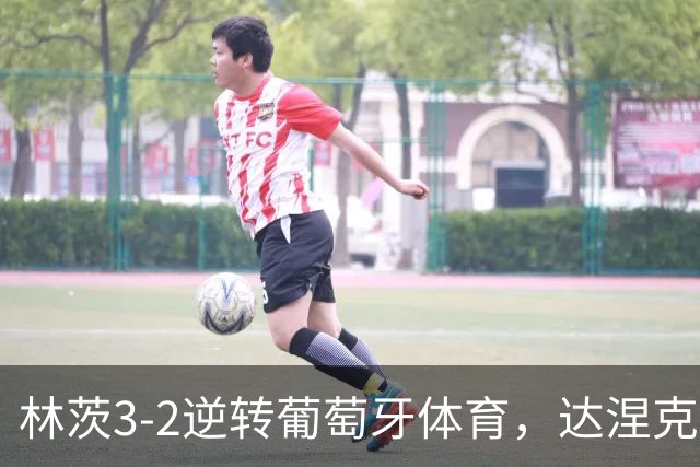 林茨3-2逆转葡萄牙体育，达涅克、卡莱季奇破门