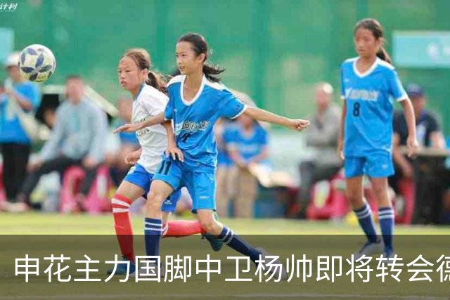 申花主力国脚中卫杨帅即将转会德甲霍芬海姆，身价9000万谣言已破
