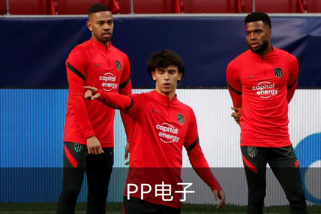 PP电子公司介绍